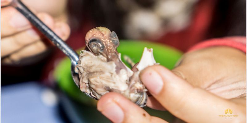 Hóa giải nghiệp ăn trứng vịt lộn bằng cách nào?