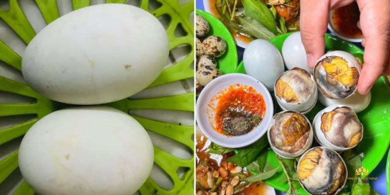 Quả báo của người bán trứng vịt lộn dù không trực tiếp ăn