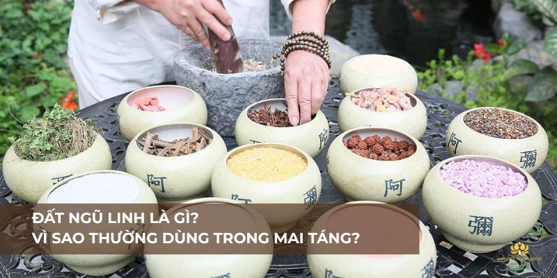 Đất ngũ linh là gì?